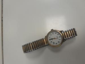 CS1752/2025 TIMEX WATCH